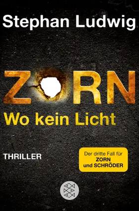 Ludwig |  Zorn - Wo kein Licht | Buch |  Sack Fachmedien