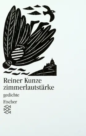 Kunze |  Zimmerlautstärke | Buch |  Sack Fachmedien