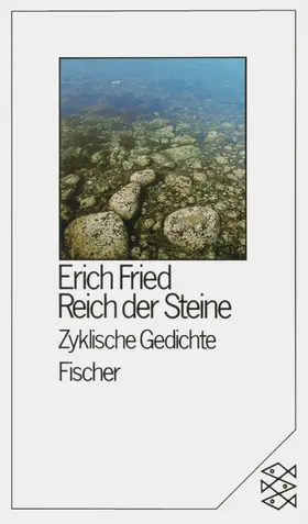 Fried |  Reich der Steine | Buch |  Sack Fachmedien