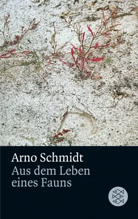 Schmidt |  Aus dem Leben eines Fauns | Buch |  Sack Fachmedien