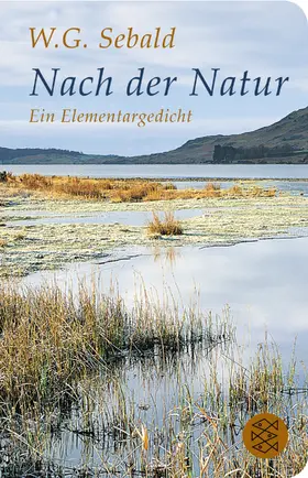 Sebald |  Nach der Natur | Buch |  Sack Fachmedien