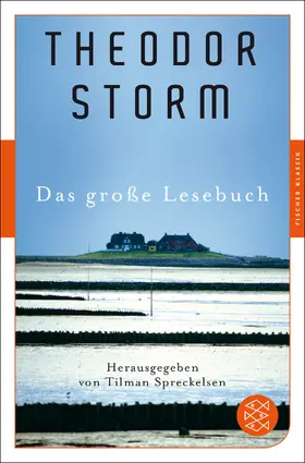 Storm / Spreckelsen | Das große Lesebuch | Buch | 978-3-596-90626-0 | www2.sack.de