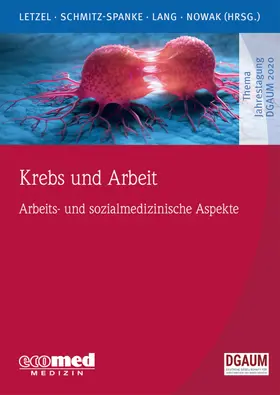 Letzel / Schmitz-Spanke / Lang |  Krebs und Arbeit | Buch |  Sack Fachmedien