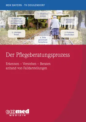 MDK Bayern / THD Technische Hochschule Deggendorf |  Der Pflegeberatungsprozess | Buch |  Sack Fachmedien