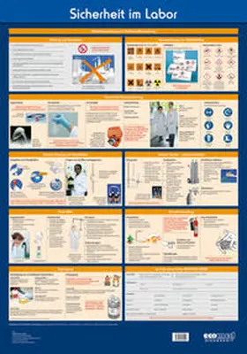 Roth |  Wandtafel Sicherheit im Labor | Sonstiges |  Sack Fachmedien