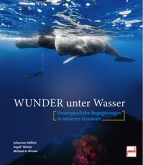 Höflich / Winter |  Wunder unter Wasser | Buch |  Sack Fachmedien