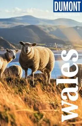 Juling |  DUMONT Reise-Taschenbuch Reiseführer Wales | Buch |  Sack Fachmedien