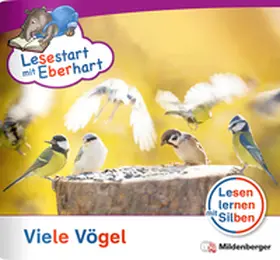 Brandau / Drecktrah |  Lesestart mit Eberhart: Viele Vögel | Buch |  Sack Fachmedien