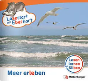 Drecktrah / Brandau |  Lesestart mit Eberhart - Meer erleben | Buch |  Sack Fachmedien