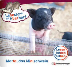 Brandau / Drecktrah |  Lesestart mit Eberhart: Marta das Minischwein | Buch |  Sack Fachmedien