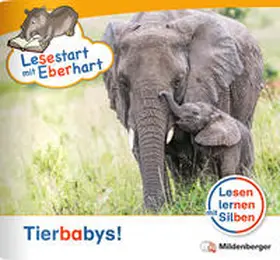 Drecktrah / Brandau |  Lesestart mit Eberhart: Tierbabys! | Buch |  Sack Fachmedien