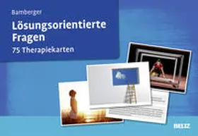 Bamberger |  Lösungsorientierte Fragen | Sonstiges |  Sack Fachmedien