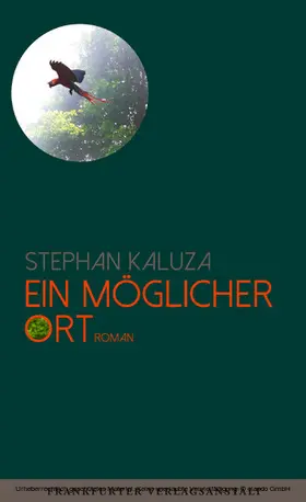 Kaluza |  Ein möglicher Ort | eBook | Sack Fachmedien