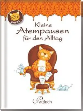  Oommh-Katze: Kleine Atempausen für den Alltag | Buch |  Sack Fachmedien