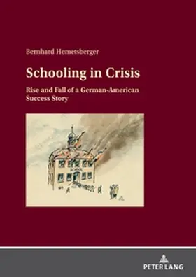 Hemetsberger |  Schooling in Crisis | Buch |  Sack Fachmedien