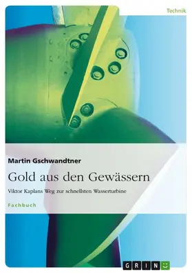 Gschwandtner |  Gold aus den Gewässern | eBook | Sack Fachmedien
