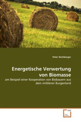 Rechberger |  Energetische Verwertung von Biomasse | Buch |  Sack Fachmedien