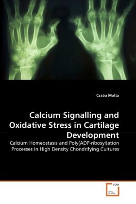 Matta |  Calcium Signalling and Oxidative Stress in Cartilage Development | Buch |  Sack Fachmedien