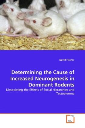 Fischer |  Determining the Cause of Increased Neurogenesis in Dominant Rodents | Buch |  Sack Fachmedien