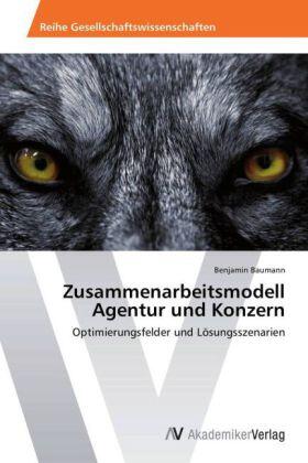 Baumann |  Zusammenarbeitsmodell Agentur und Konzern | Buch |  Sack Fachmedien