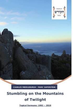 Middleburgh / Saperstein |  Stumbling on the Mountains of Twilight | Buch |  Sack Fachmedien