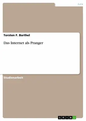 Barthel |  Das Internet als Pranger | eBook | Sack Fachmedien