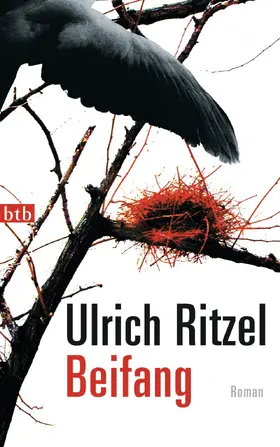 Ritzel |  Beifang | eBook | Sack Fachmedien