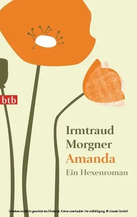 Morgner |  Amanda | eBook | Sack Fachmedien