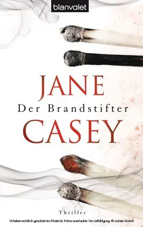 Casey |  Der Brandstifter | eBook | Sack Fachmedien