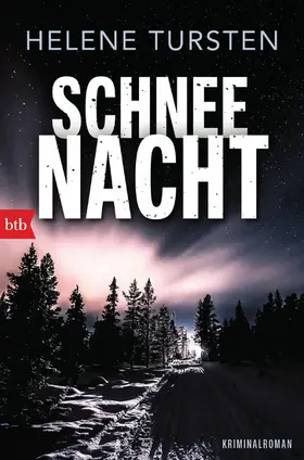 Tursten |  Schneenacht | eBook | Sack Fachmedien