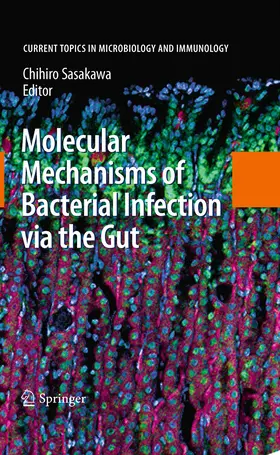Sasakawa |  Molecular Mechanisms of Bacterial Infection via the Gut | eBook | Sack Fachmedien