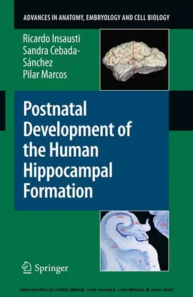 Insausti / Cebada-Sánchez / Marcos |  Postnatal Development of the Human Hippocampal Formation | eBook | Sack Fachmedien