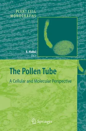 Malhó |  The Pollen Tube | Buch |  Sack Fachmedien