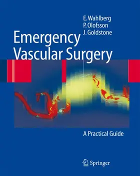 Wahlberg / Olofsson / Goldstone | Emergency Vascular Surgery | Buch | 978-3-642-07938-2 | sack.de