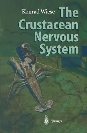 Wiese |  The Crustacean Nervous System | Buch |  Sack Fachmedien