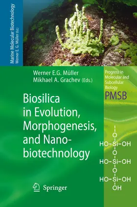 Grachev / Müller |  Biosilica in Evolution, Morphogenesis, and Nanobiotechnology | Buch |  Sack Fachmedien