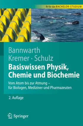 Bannwarth / Kremer / Schulz | Basiswissen Physik, Chemie und Biochemie | E-Book | sack.de
