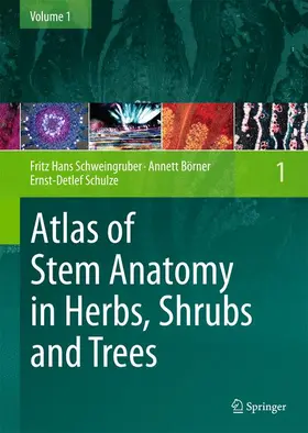 Schweingruber / Schulze / Börner |  Atlas of Stem Anatomy in Herbs, Shrubs and Trees | Buch |  Sack Fachmedien