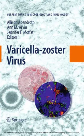 Abendroth / Arvin / Moffat |  Varicella-zoster Virus | eBook | Sack Fachmedien