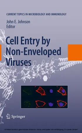 Johnson |  Cell Entry by Non-Enveloped Viruses | eBook | Sack Fachmedien