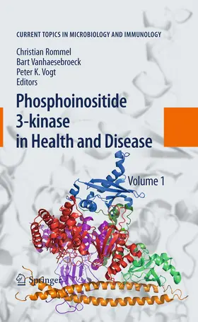 Rommel / Vanhaesebroeck / Vogt |  Phosphoinositide 3-kinase in Health and Disease | eBook | Sack Fachmedien