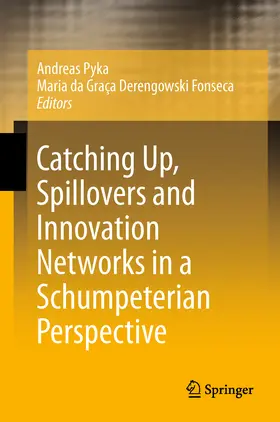 Pyka / Derengowski Fonseca | Catching Up, Spillovers and Innovation Networks in a Schumpeterian Perspective | E-Book | sack.de