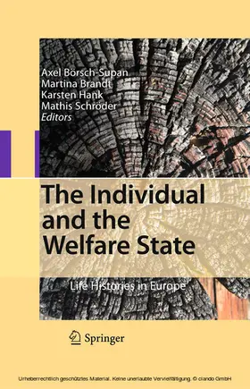 Börsch-Supan / Brandt / Hank |  The Individual and the Welfare State | eBook | Sack Fachmedien