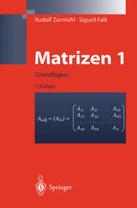 Zurmühl / Falk |  Matrizen und ihre Anwendungen 1 | eBook | Sack Fachmedien