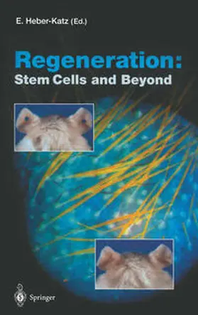 Heber-Katz | Regeneration: Stem Cells and Beyond | E-Book | sack.de