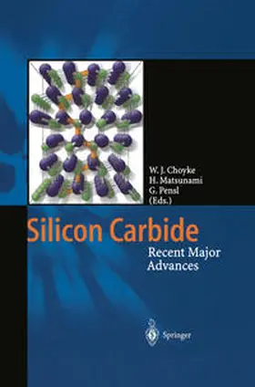 Choyke / Matsunami / Pensl | Silicon Carbide | E-Book | sack.de