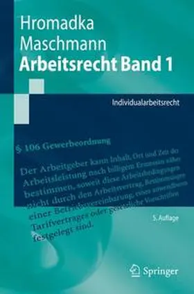 Hromadka / Maschmann | Arbeitsrecht Band 1 | Buch | 978-3-642-22783-7 | www2.sack.de