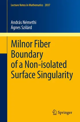 Szilárd / Némethi |  Milnor Fiber Boundary of a Non-isolated Surface Singularity | Buch |  Sack Fachmedien