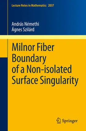 Némethi / Szilárd | Milnor Fiber Boundary of a Non-isolated Surface Singularity | E-Book | sack.de