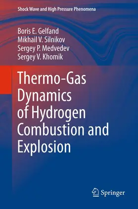 Gelfand / Silnikov / Medvedev |  Thermo-Gas Dynamics of Hydrogen Combustion and Explosion | eBook | Sack Fachmedien
